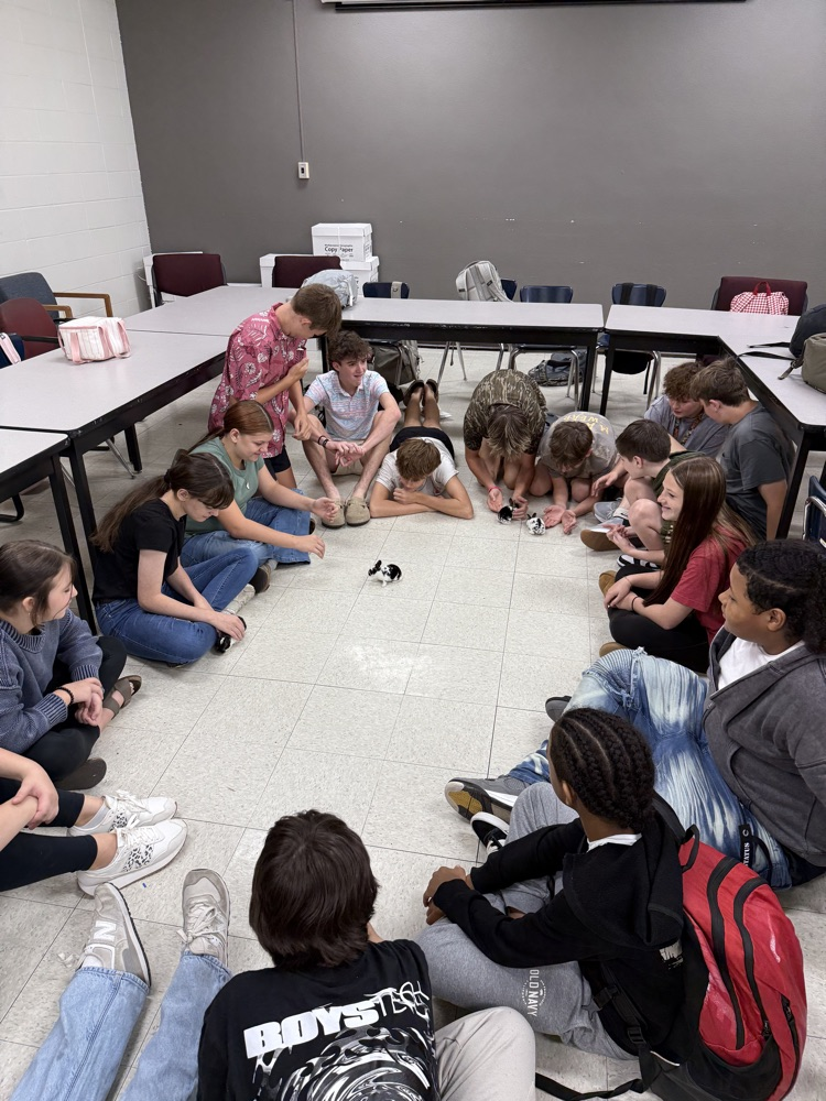 group with bunnies