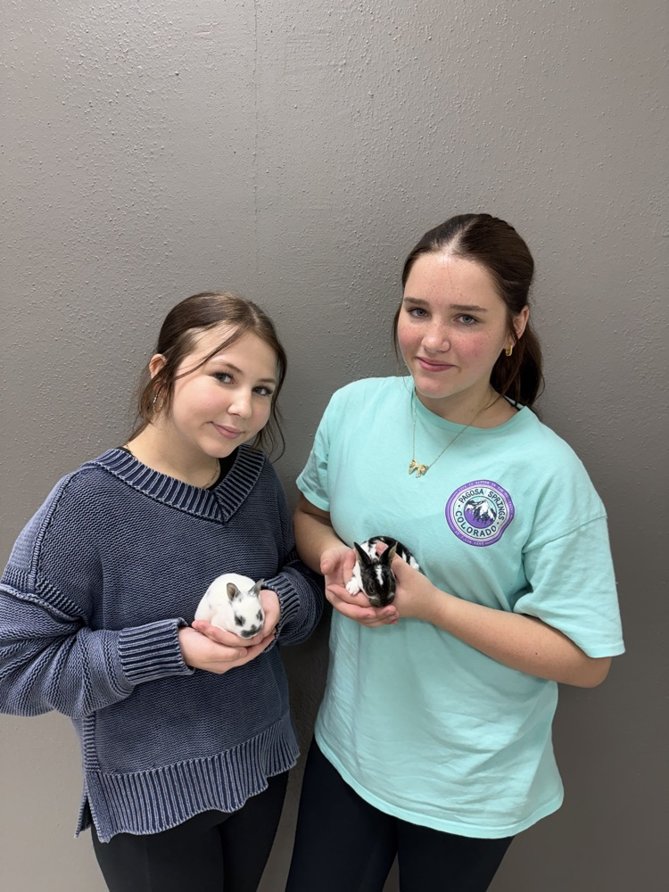 girls with bunnies