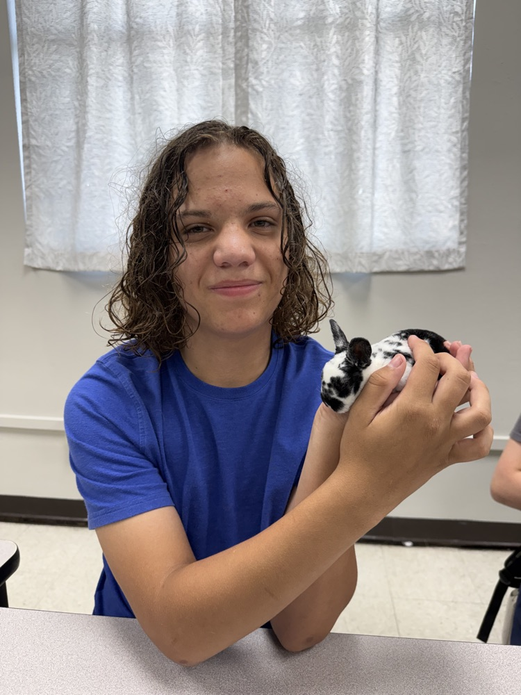 boy holding bunny