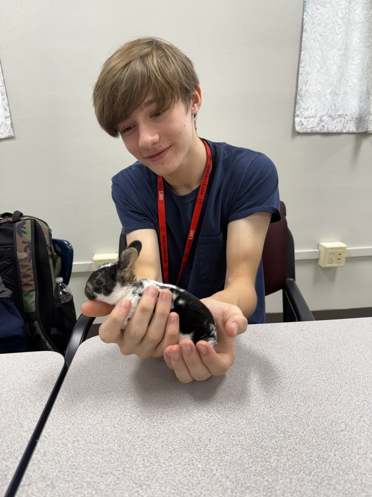 boy holding bunny