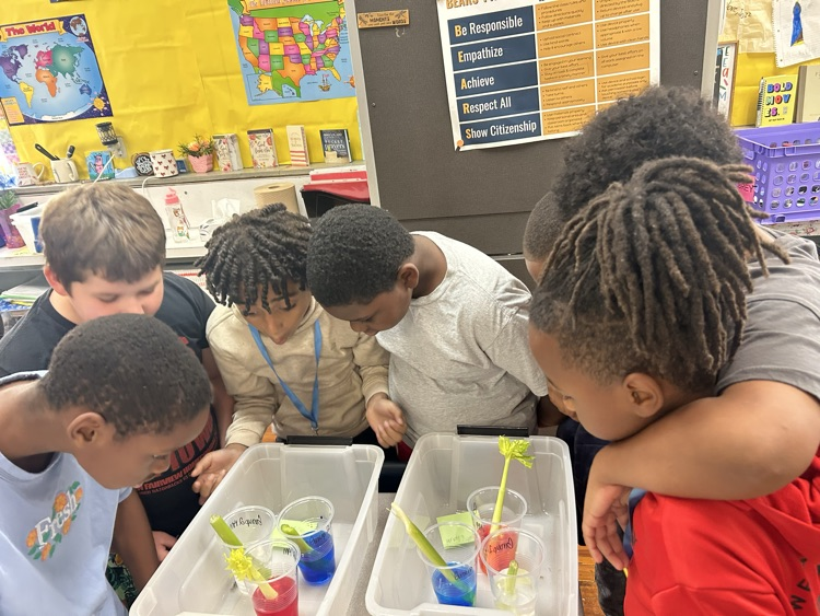 students studying plant structures