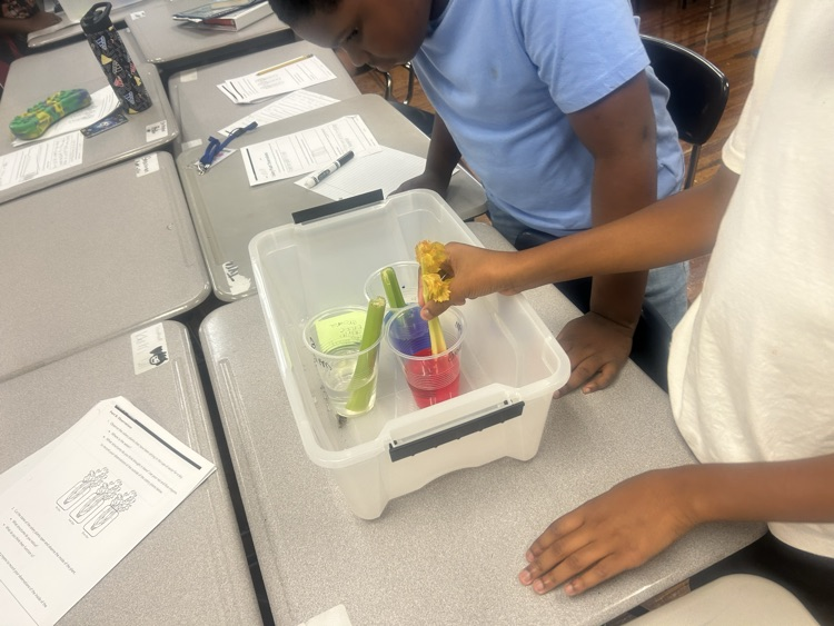 students studying plant structures