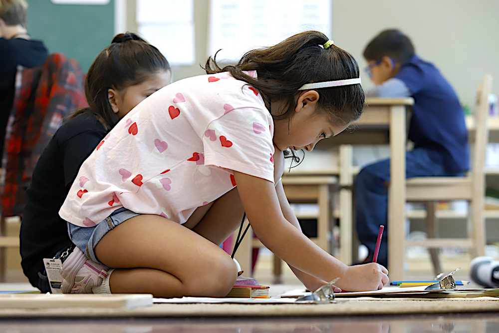 Montessori Education Week