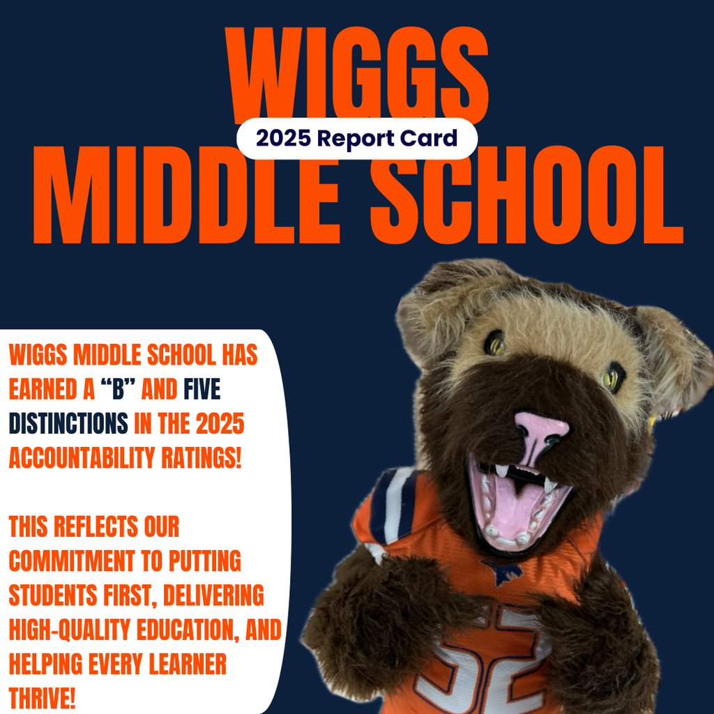 Wiggs 2025 Report Card