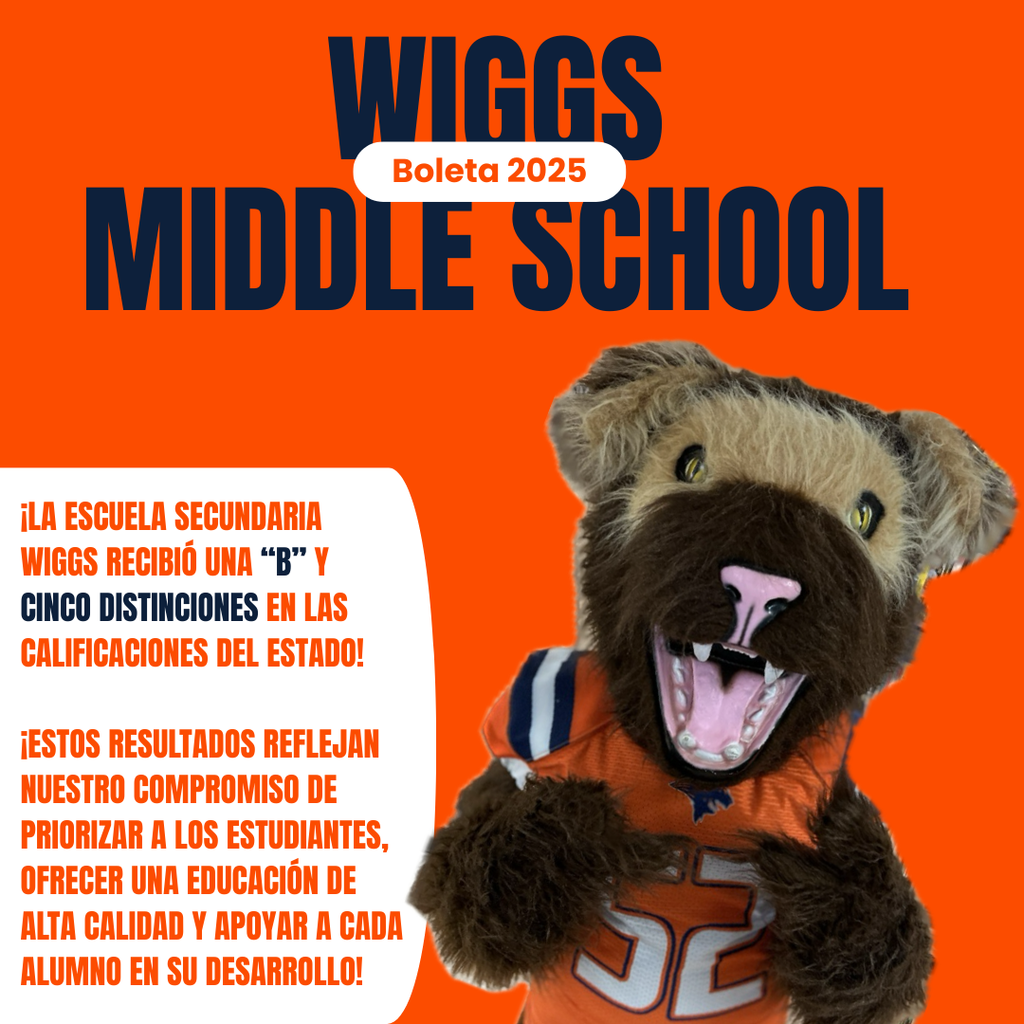Wiggs 2025 Report Card (Spanish)