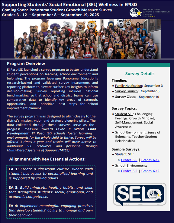 SEL Panorma Survey - Eng