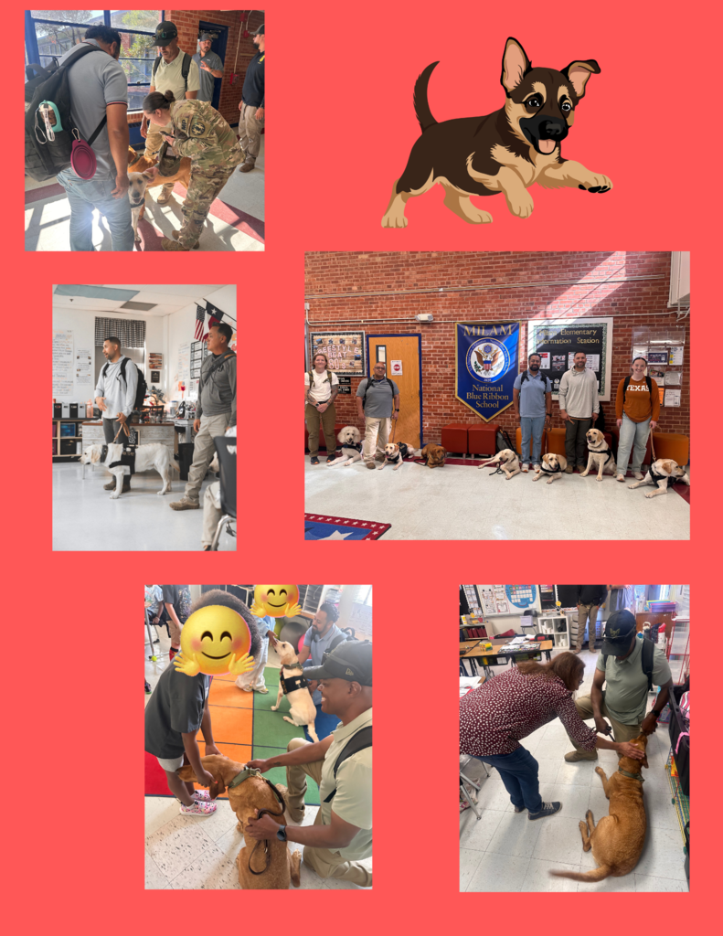 Border Patrol Therapy Dogs