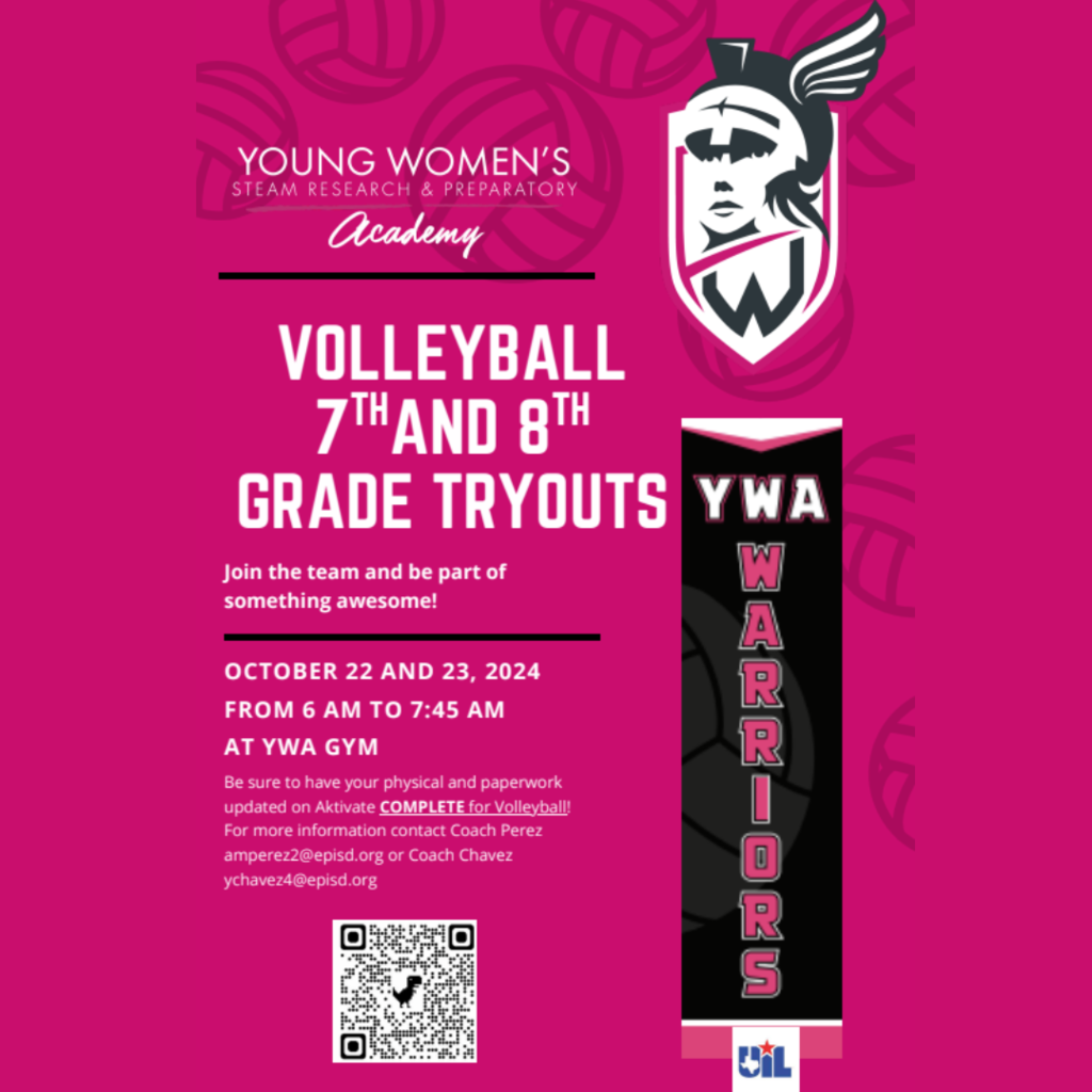 MS VB