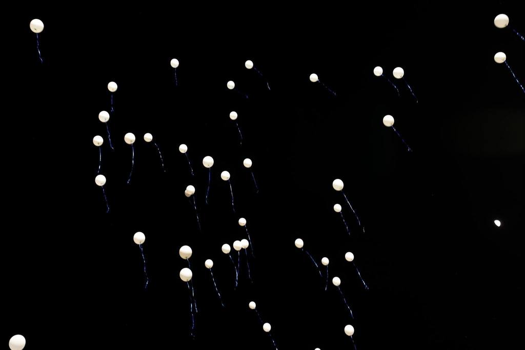 Balloons floating in the sky