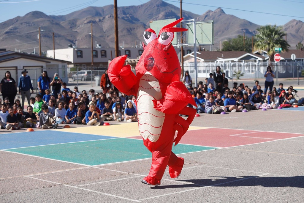 2nd annual teacher inflatable costume race. Lobster racing