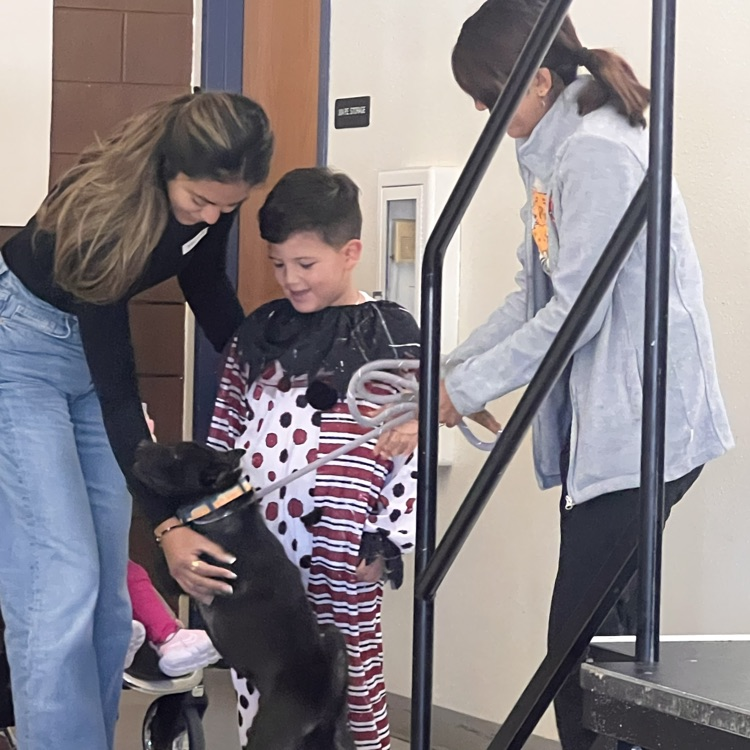 Sunny’s anti bite class