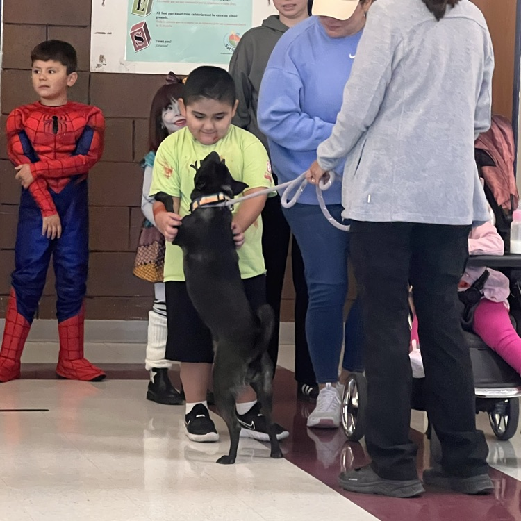 Sunny’s anti bite class