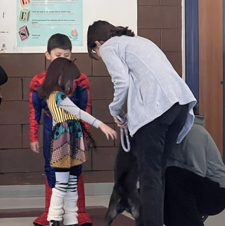 Sunny’s anti bite class