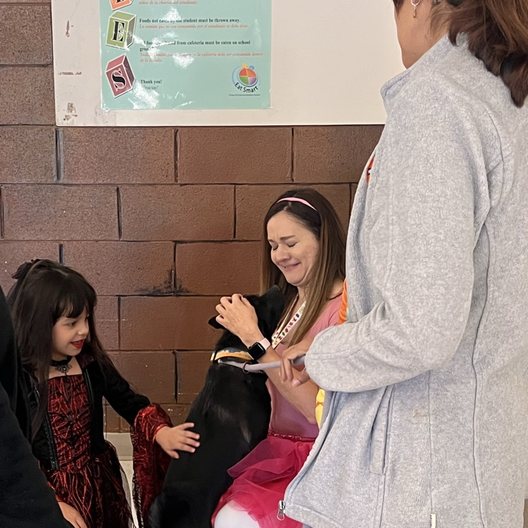 Sunny’s anti bite class