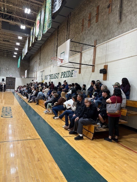 Importance of Fine Arts