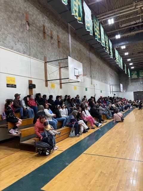 Importance of Fine Arts