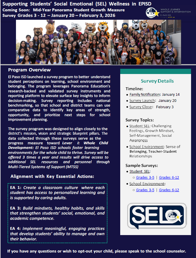 English Panorama Survey Flyer