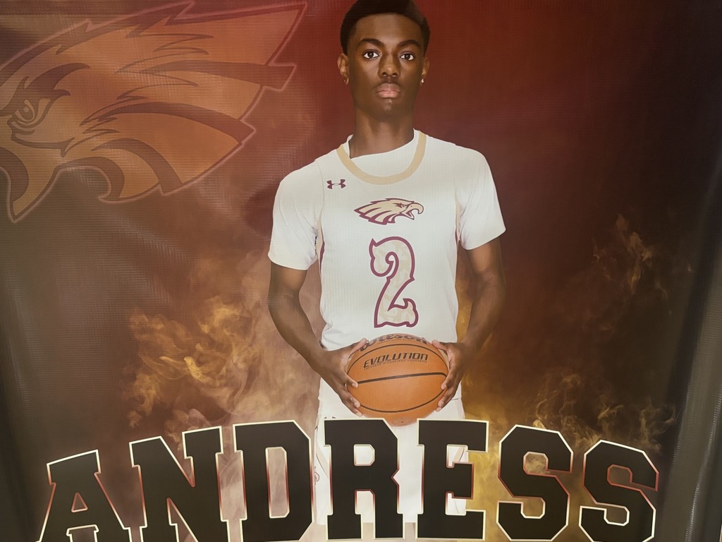 Toraino Johnson Jr., Andress basketball