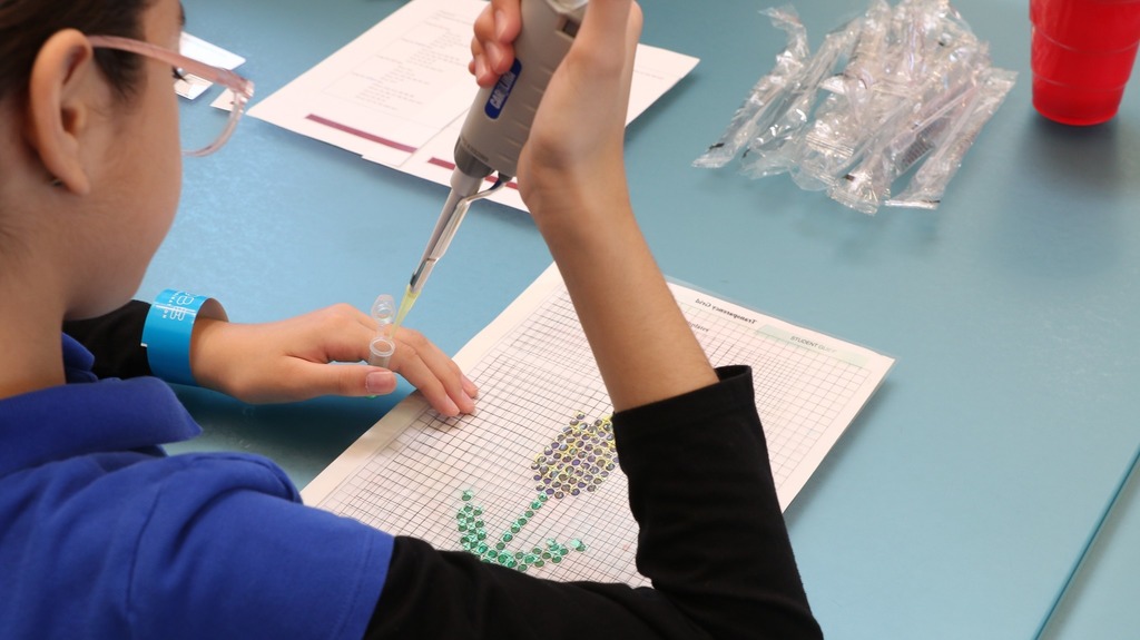 Children working on activity