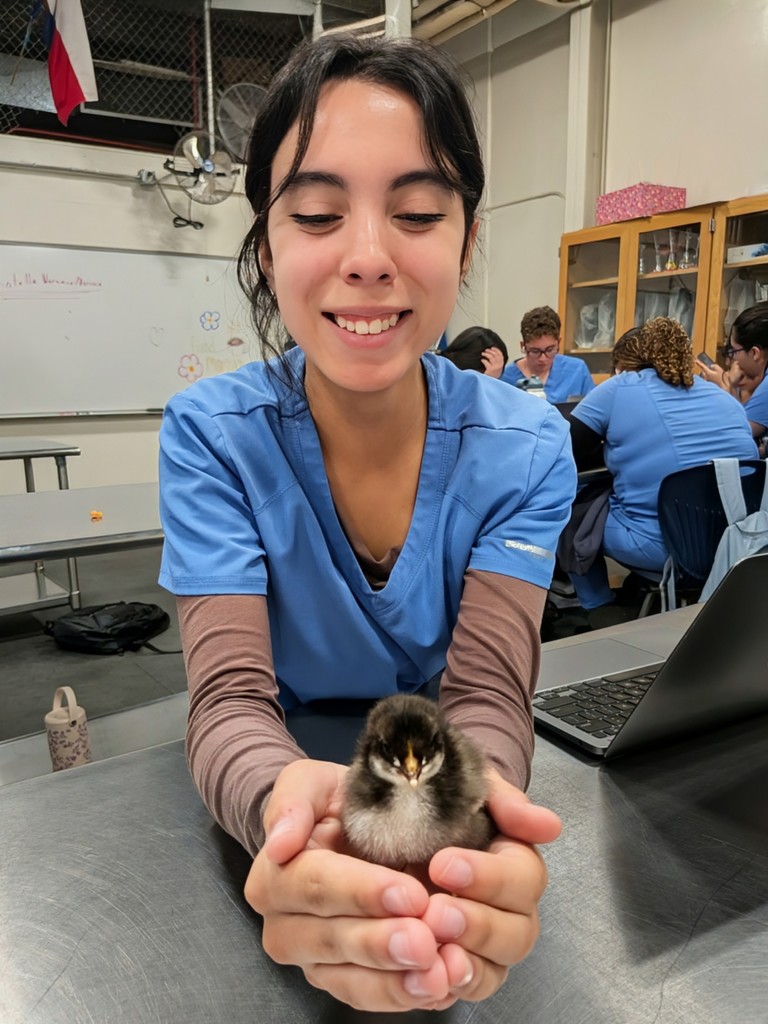 CCTE student holds baby chicks in hands and smiles