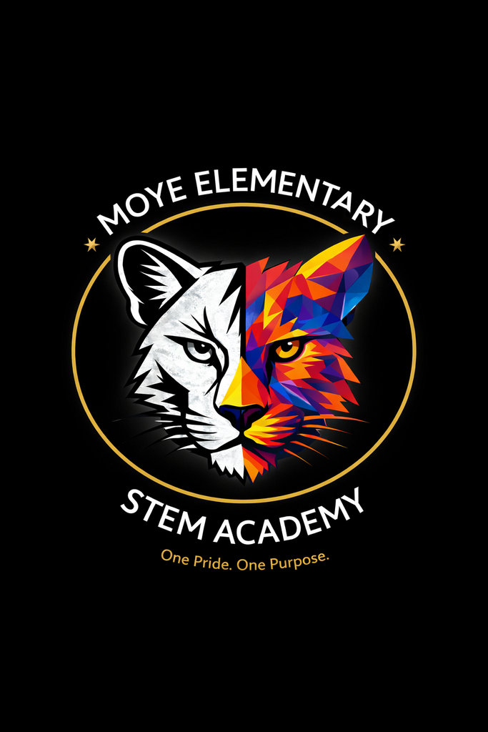 STEM Academy