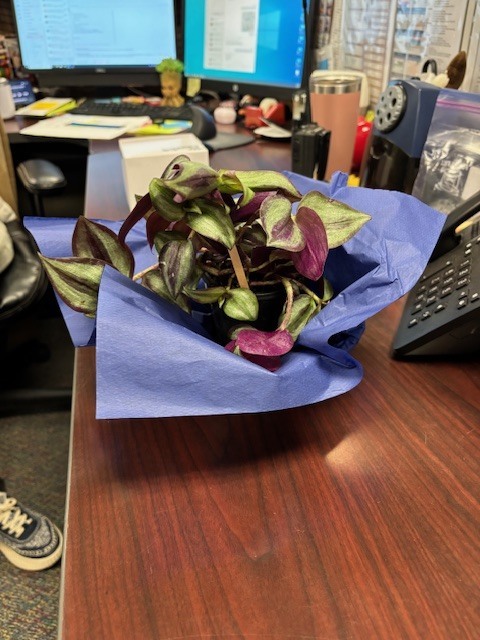 Happy Administrative Professionals Day