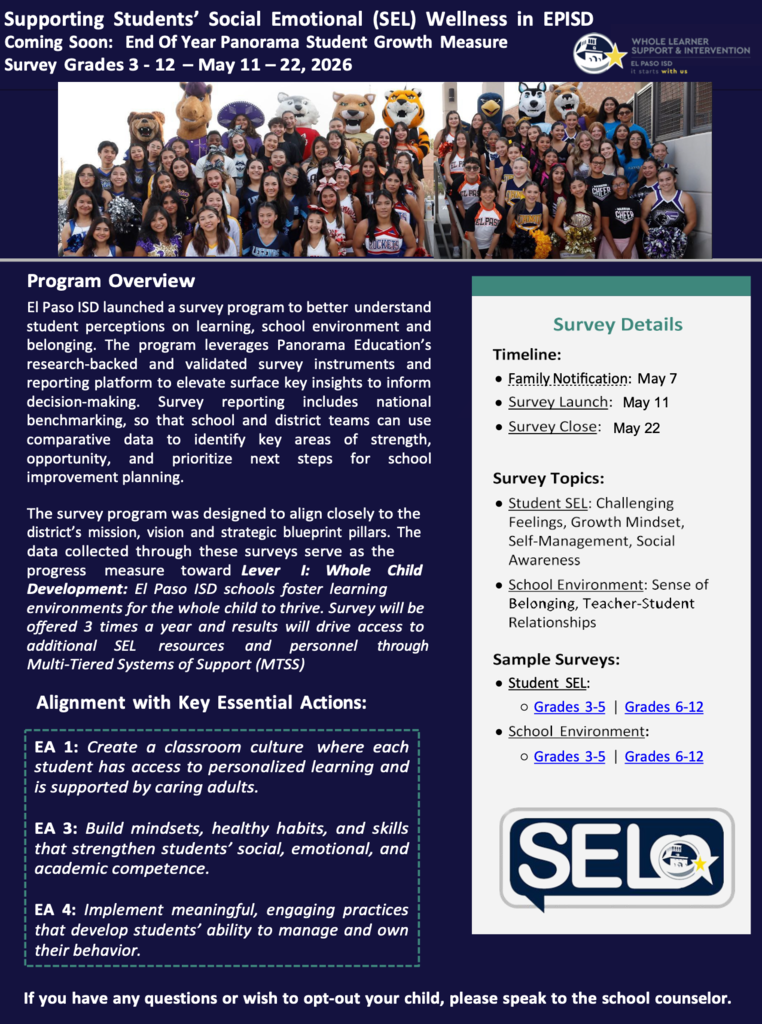 End Of Year Panorama Survey spanish