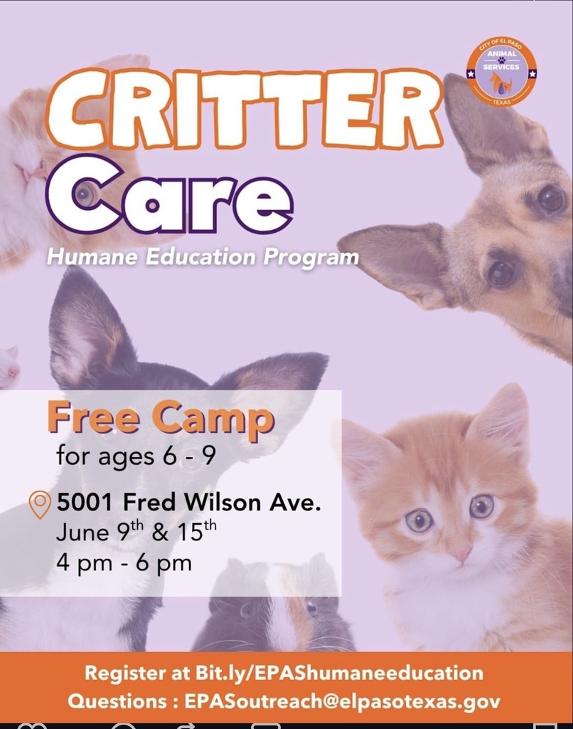 summer camps 