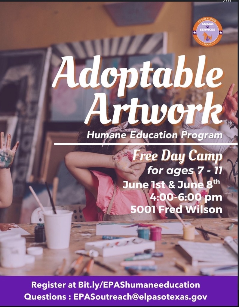 summer camps 
