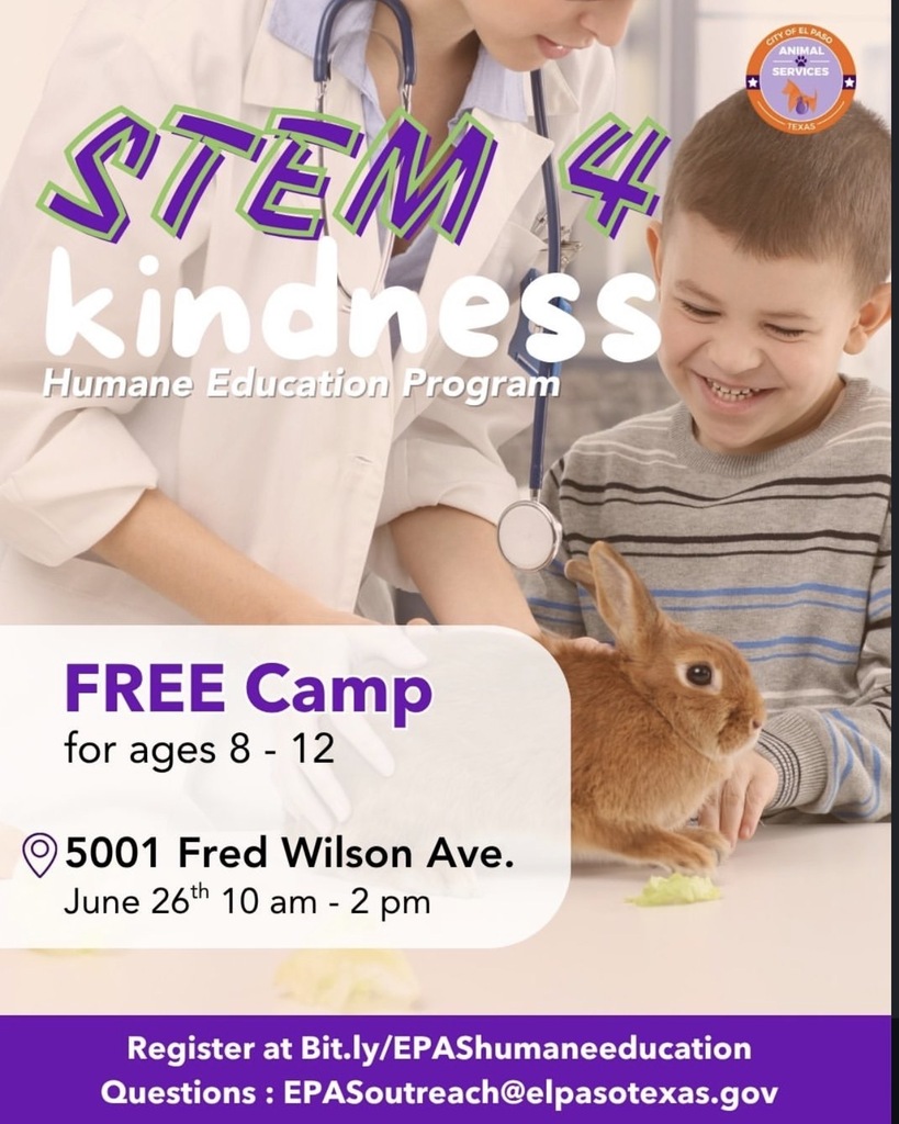 summer camps 