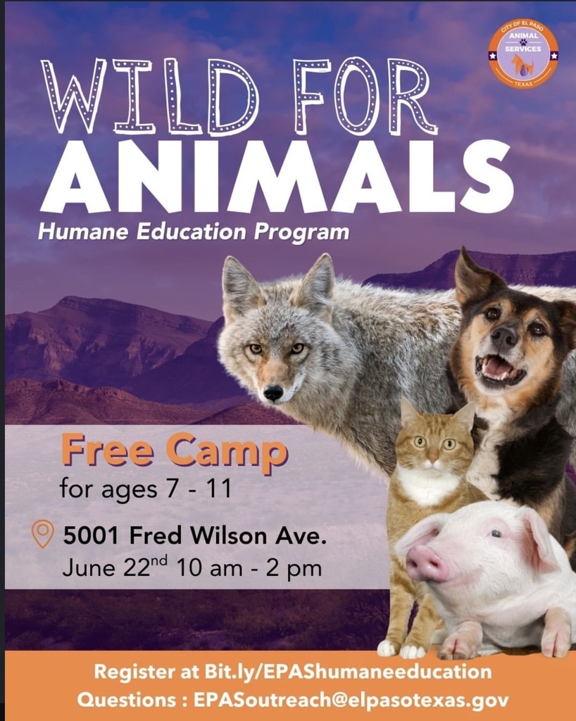 summer camps 