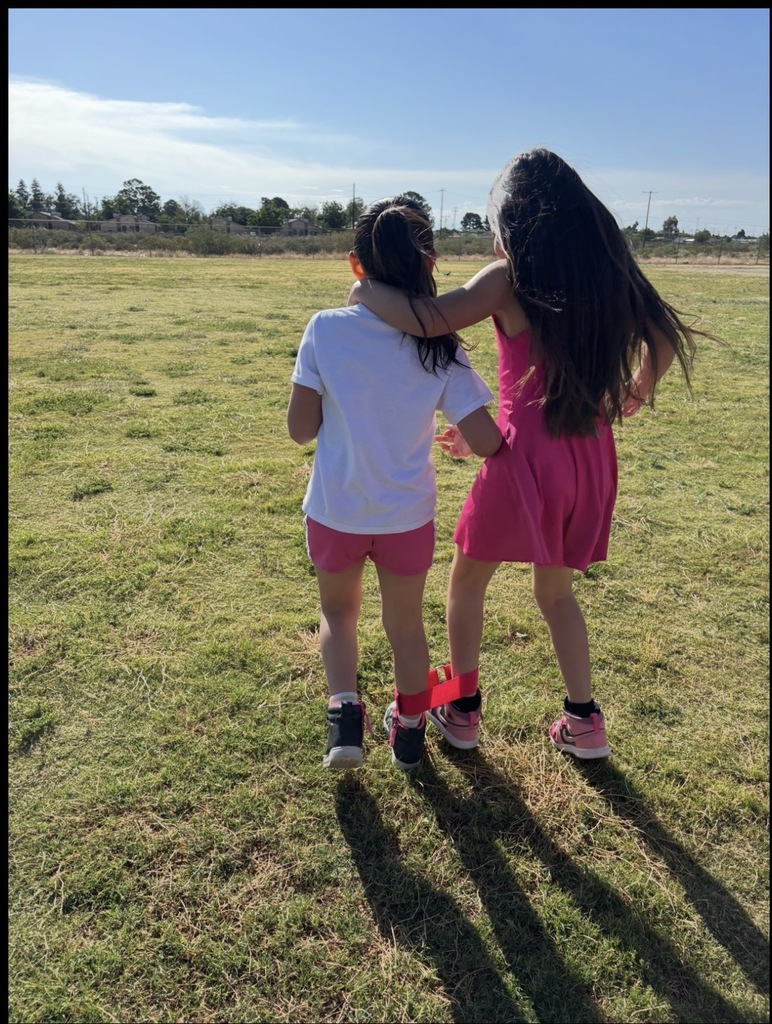 Field day