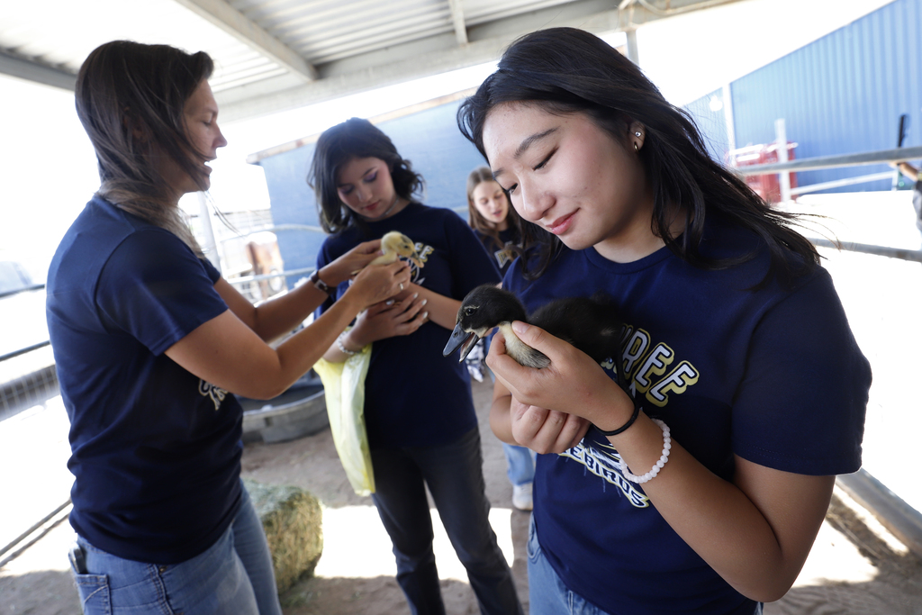 Murphree PK-8 students hold ducks at FFA event