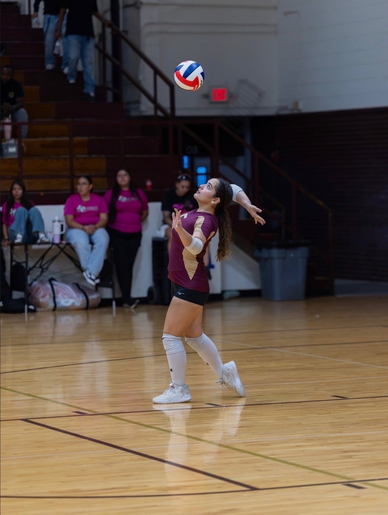 Photo of Allie Mendiola, Andress volleyball