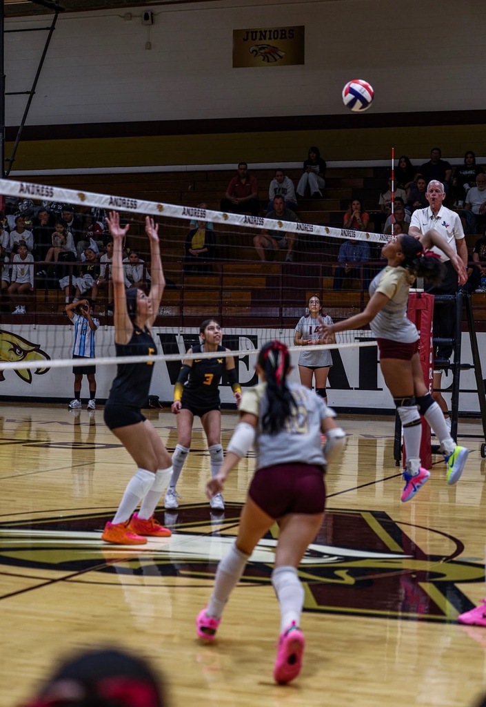 Photo of Alena Suber, Andress volleyball