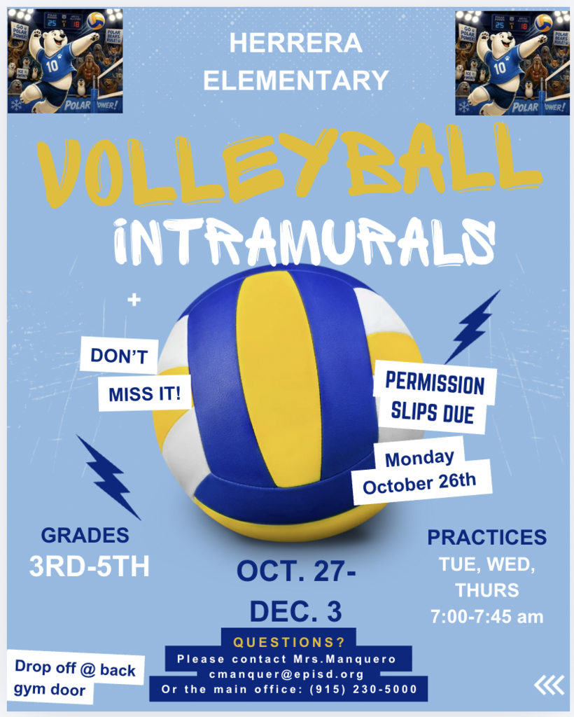 Volleyball flyer