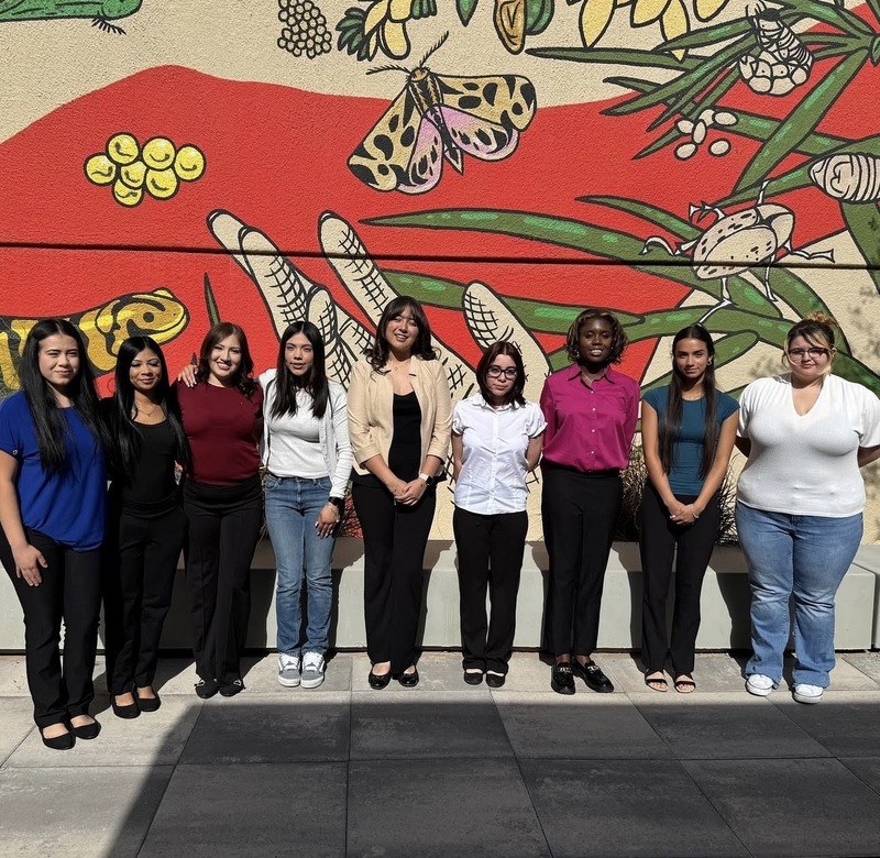 YWCA Internship