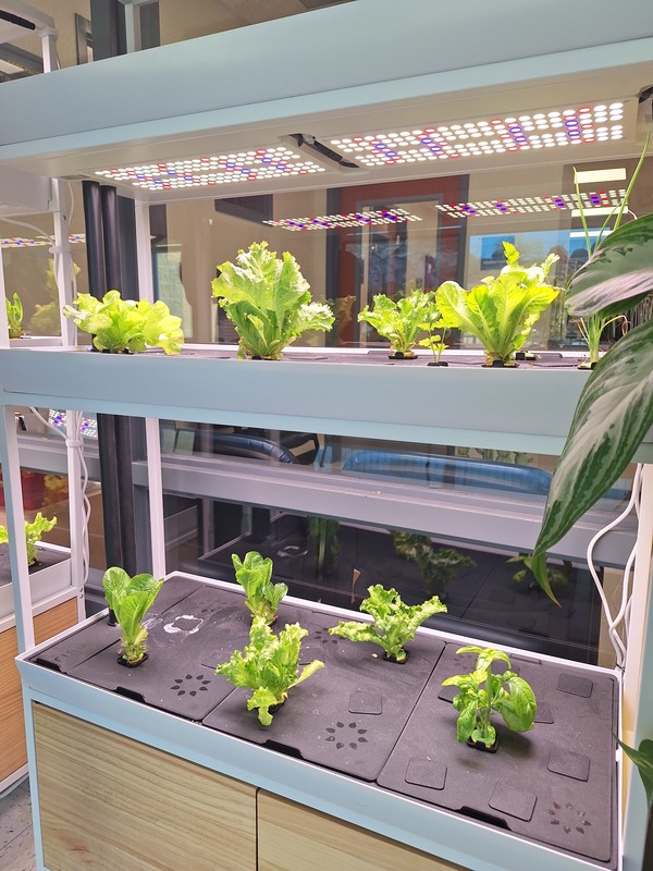 Western Hills Academy