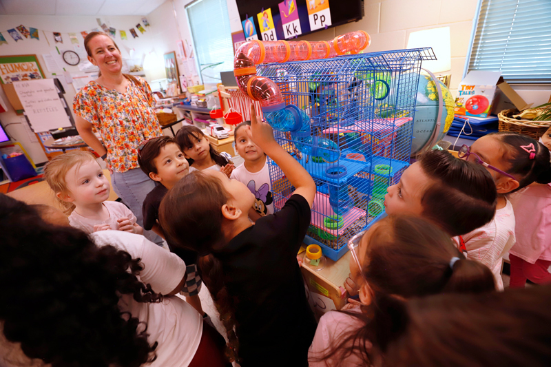children play in a classroom with an animal