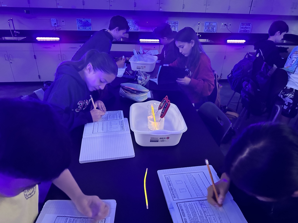 6th grade lab