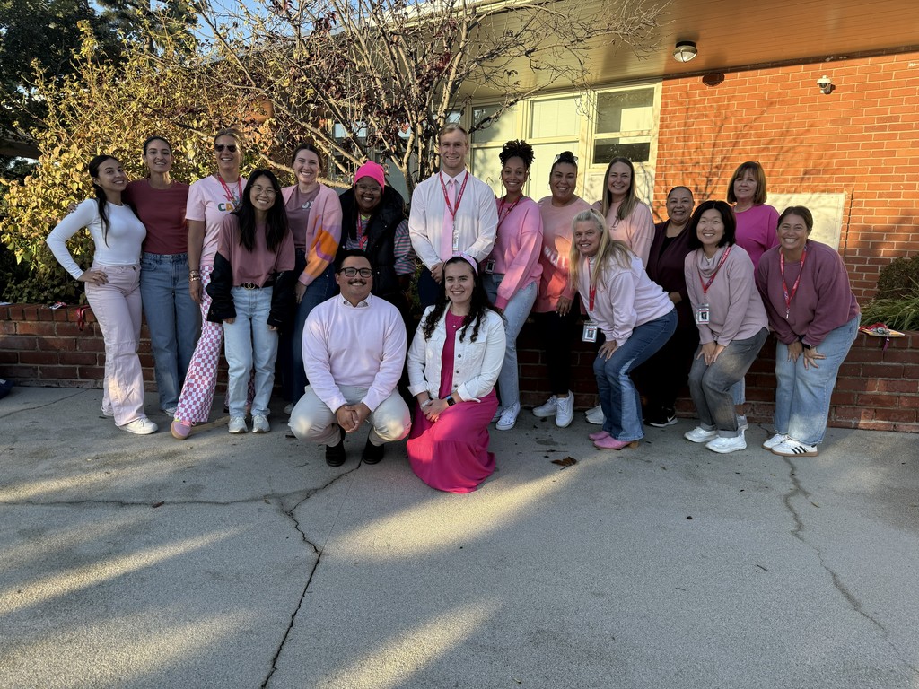 A group of school staff members pose together outside in front of a brick building, all wearing different shades of pink. Some are standing while a few kneel in front, smiling together in the sunlight as part of a coordinated spirit or awareness day.