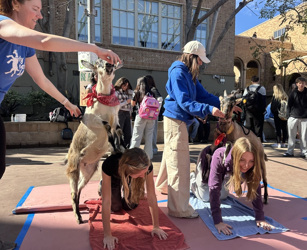 Students interact with goats during a fun outdoor activity on campus.