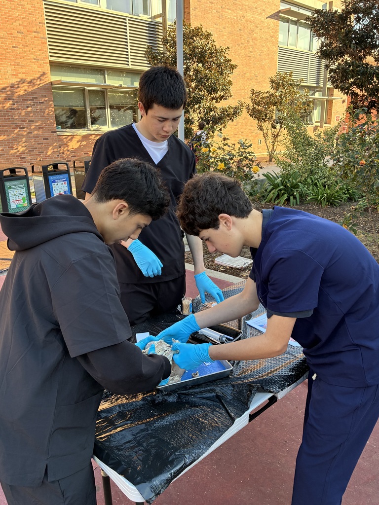 Three students wearing gloves and scrubs conduct a hands-on dissection outdoors on a table covered with a black plastic sheet.