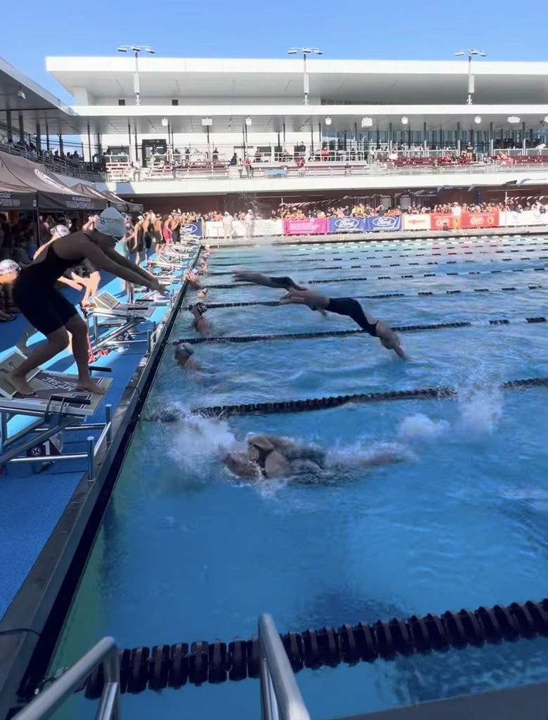 Swimmers diving into an outdoor pool at the start of a competitive race with spectators in the background.