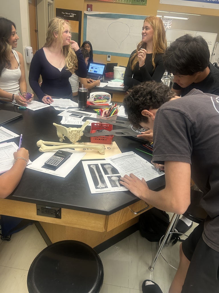 High school students collaborate around a lab table studying anatomy with bone models and worksheets in a science classroom.
