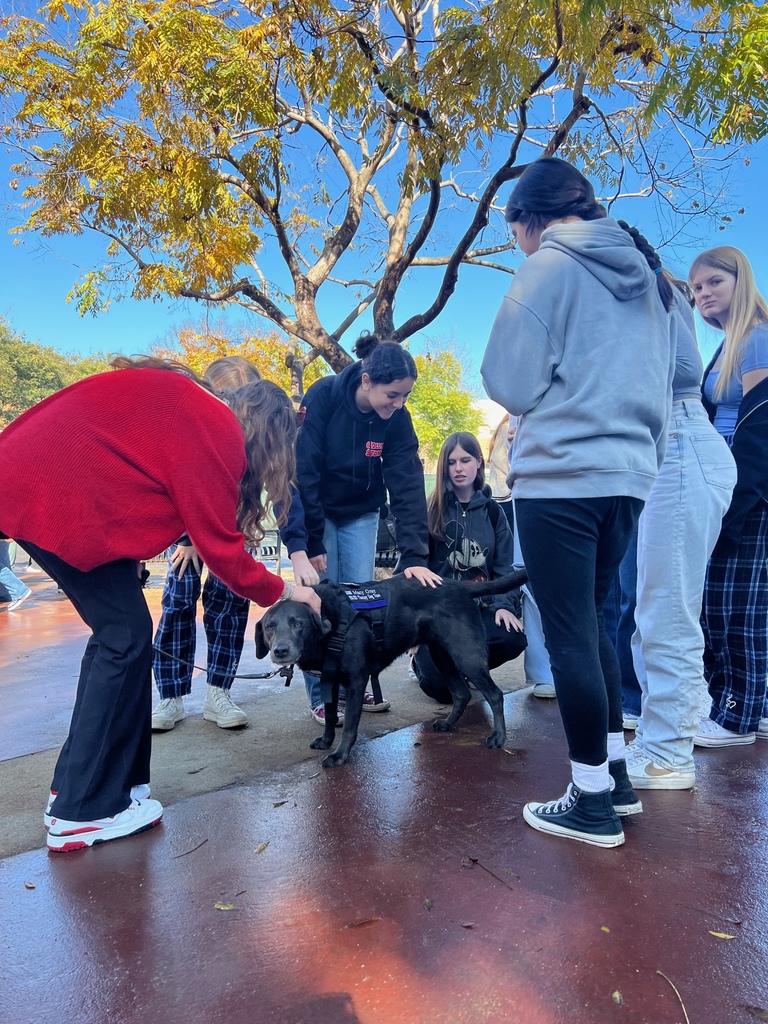 Wellness Center & Therapy Dog