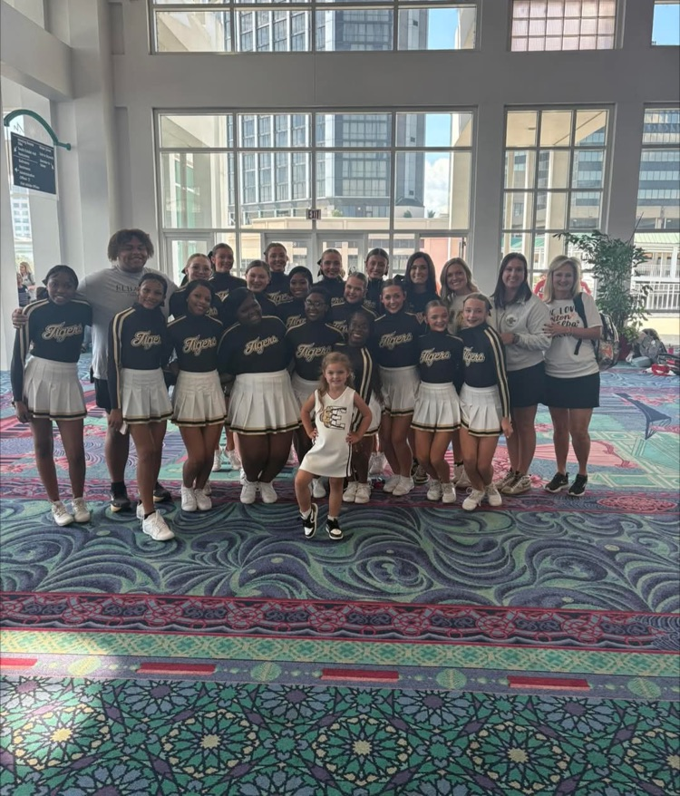 A group of cheerleaders posing for a picture .