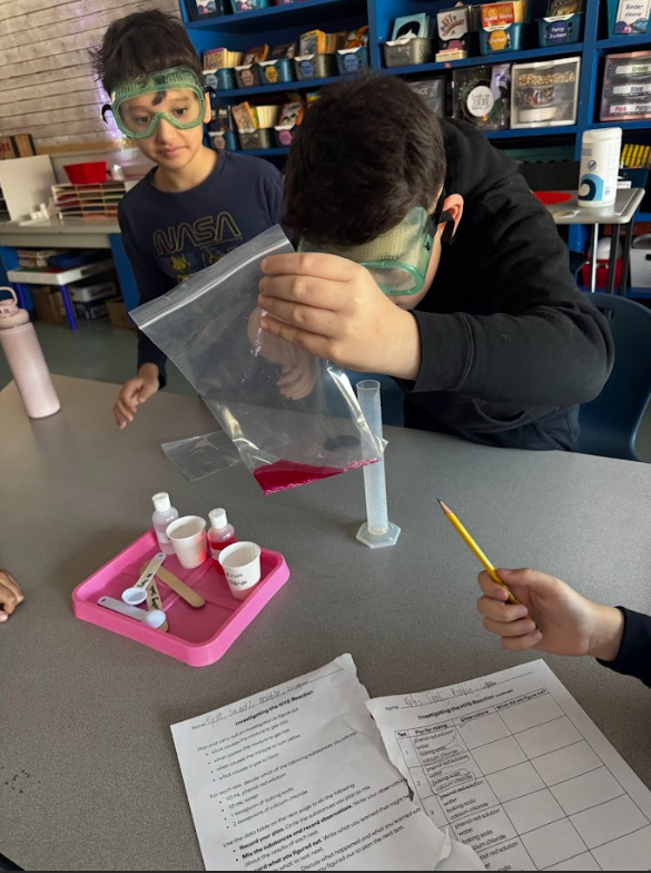 image of students performing a science experiment