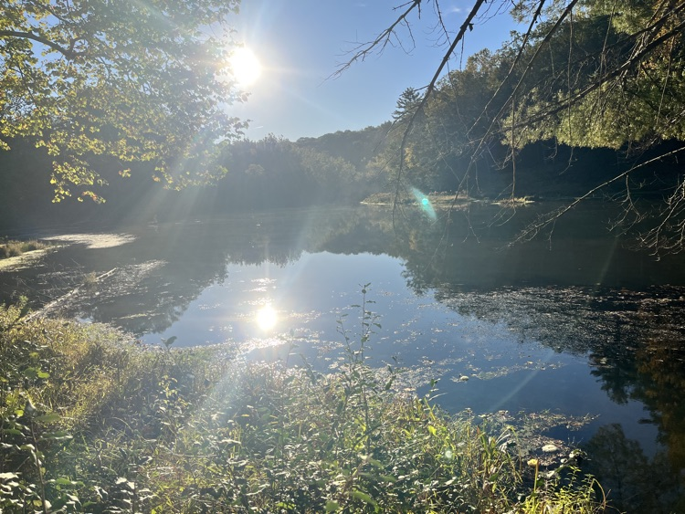 Ashokan