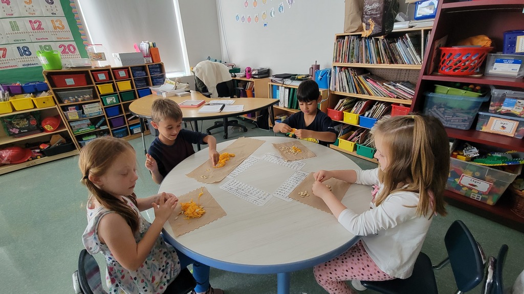Kindergarten students doing math with pumpkin seeds